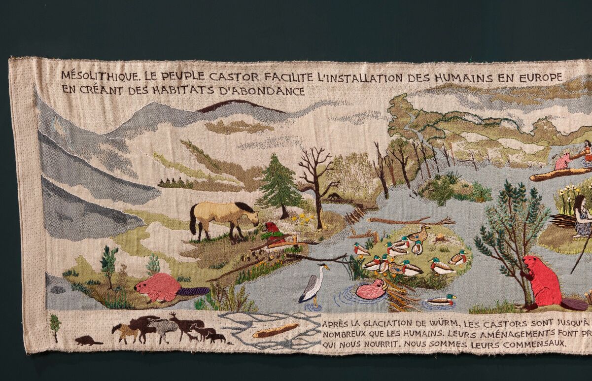 262350-husky-histoire-alliances-peuple-castor-6675c921bd31e.jpg