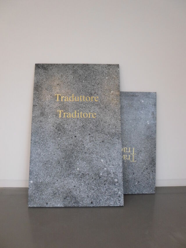 263173-defraine-traduttore-traditore-sam_0412.jpg