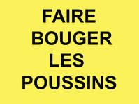 _Faire bouger les poussins_