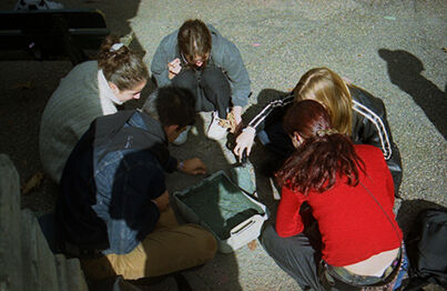 223098-sprovost_cour-des-petits-secrets.jpg