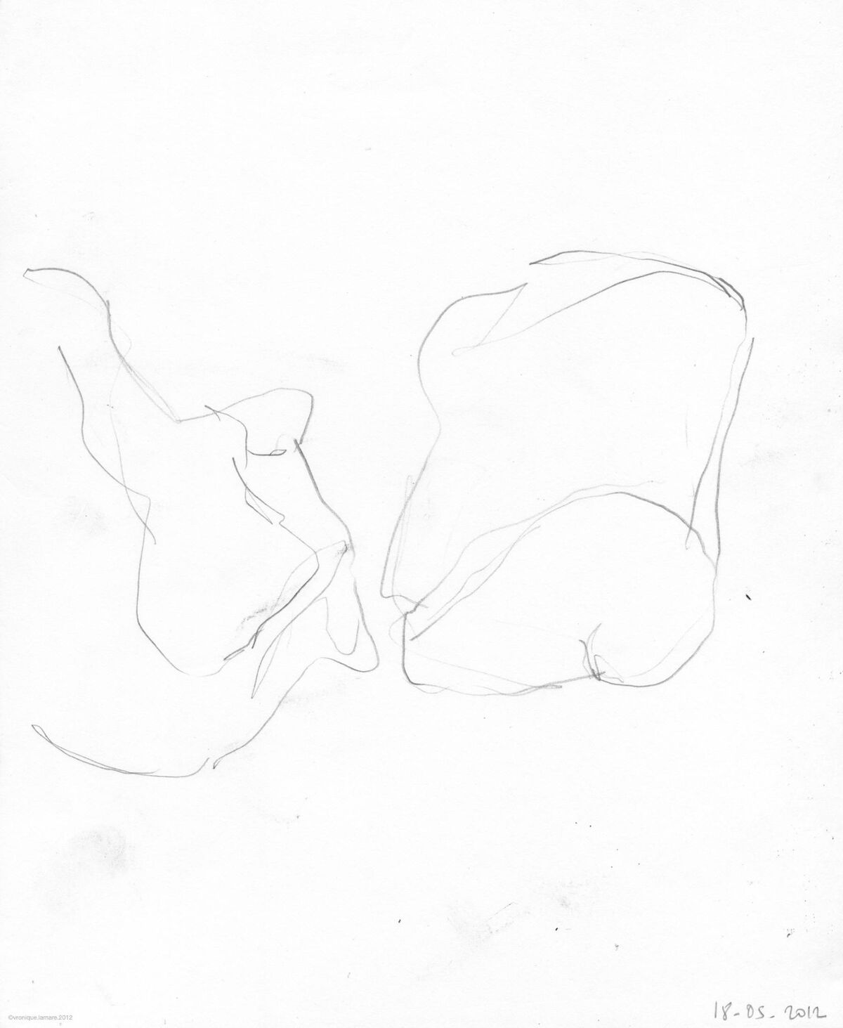 235119-lamare_adosdediable_a_dosdediable-de_pensedessin01-_c_vl2012.jpg