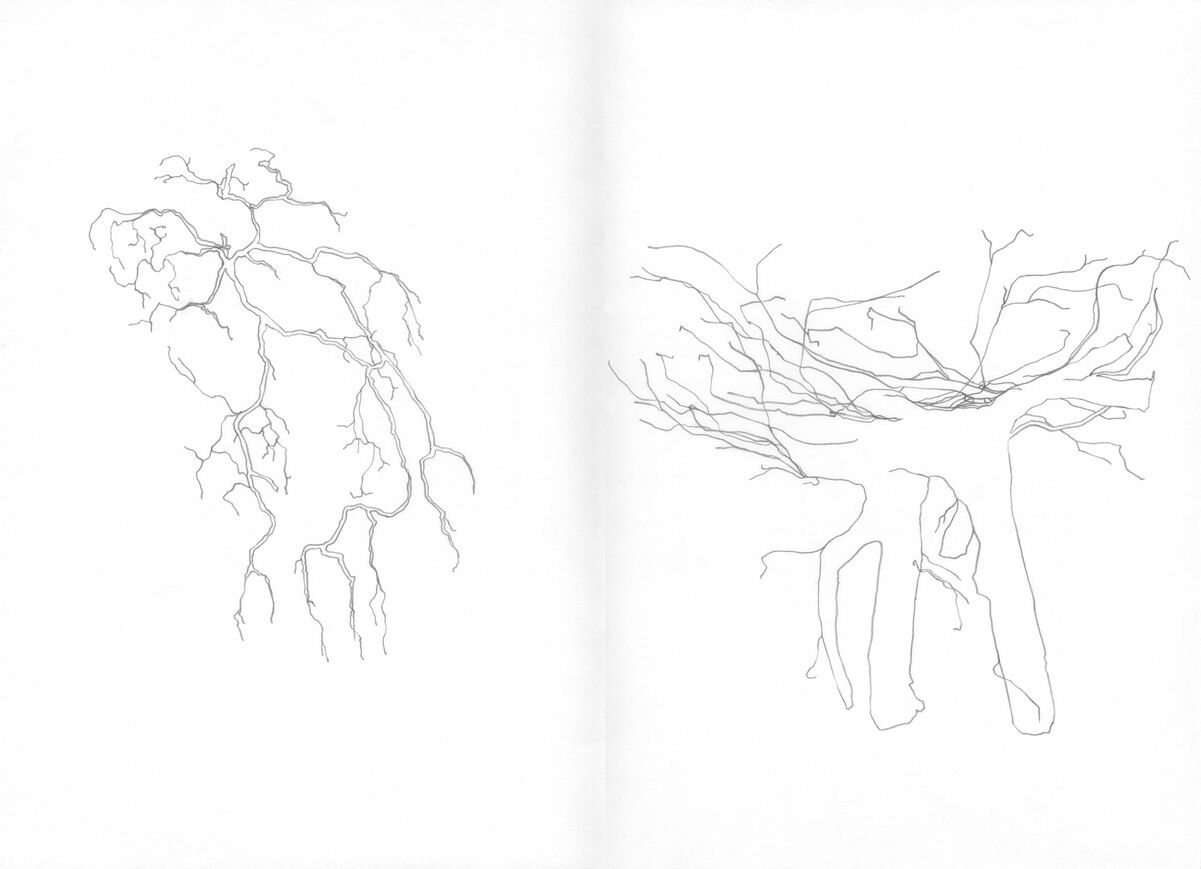 235579-lamare_pourdesprunes_pourdesprunes-dessin4.jpg