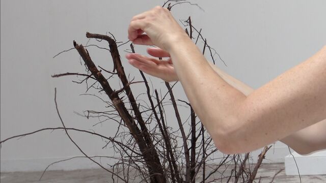 _Pour des prunes_