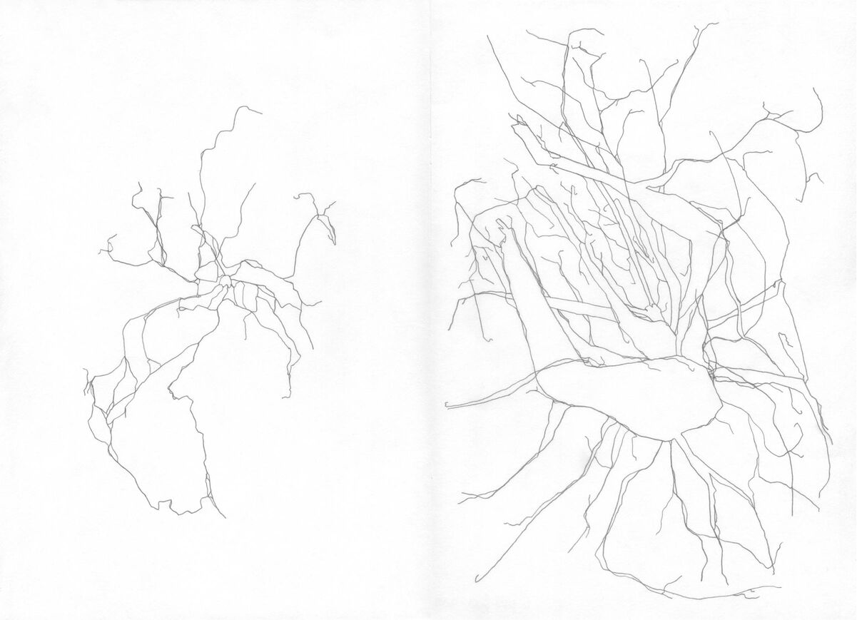 235577-lamare_pourdesprunes_pourdesprunes-dessin1.jpg