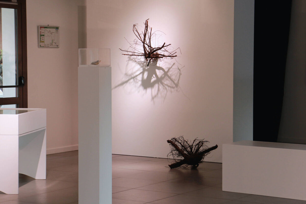 236113-lamare_pourdesprunes_pourdesprunes03-expoauloffe_e-2019.jpg