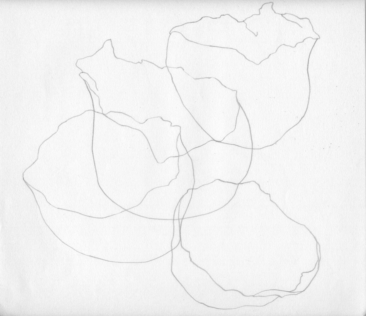 235428-lamare_vou_tescra_niennes_vou_tescra_niennes-dessin10-2013.jpg