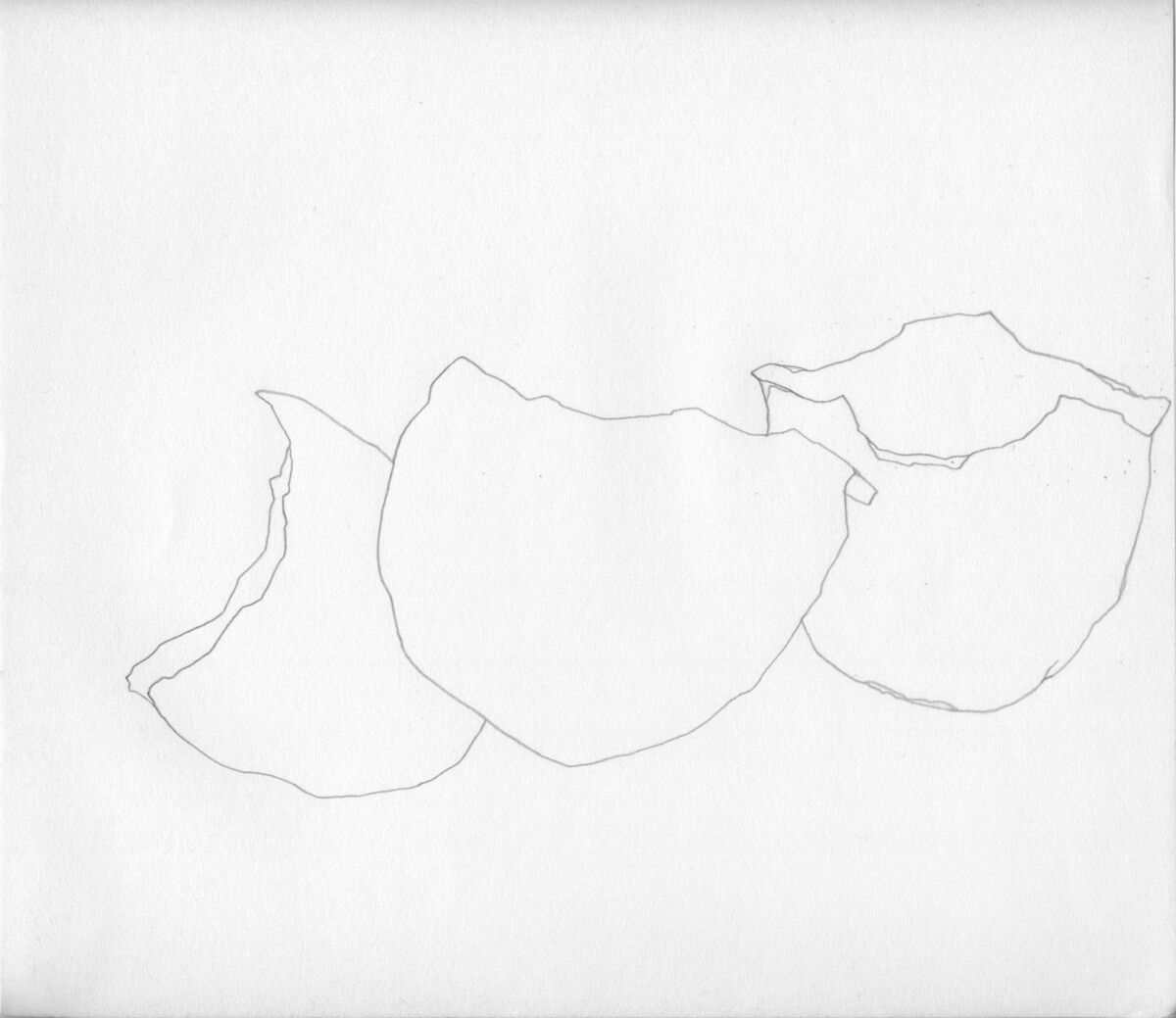 235425-lamare_vou_tescra_niennes_vou_tescra_niennes-dessin01-2013.jpg