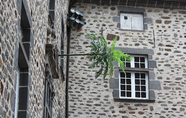 220190-vcarlier-verticaltropic-5-72.jpg