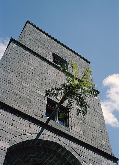 220188-vcarlier-verticaltropic2-72.jpg