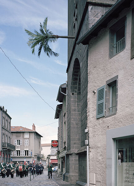 220187-carlierverticaltropic6_72.jpg